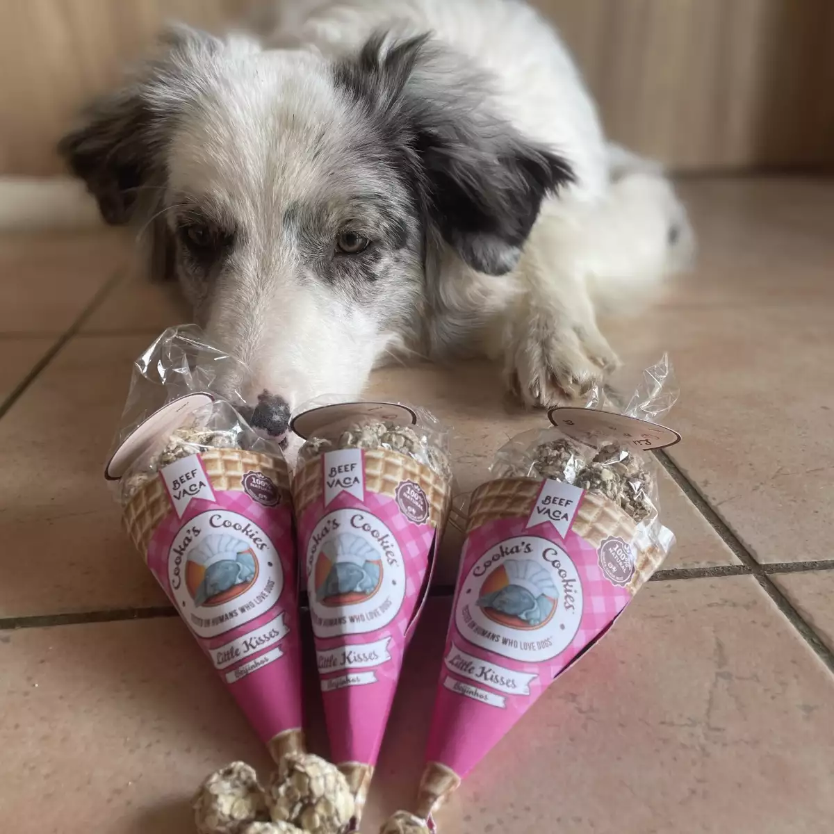 Cornet de Friandises Boeuf