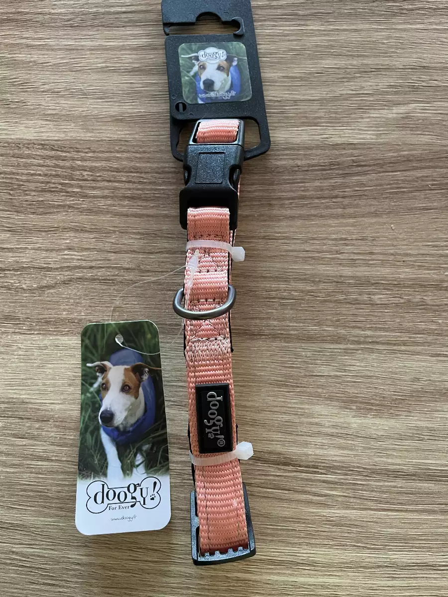 Collier pour chien classique TS couleur pêche