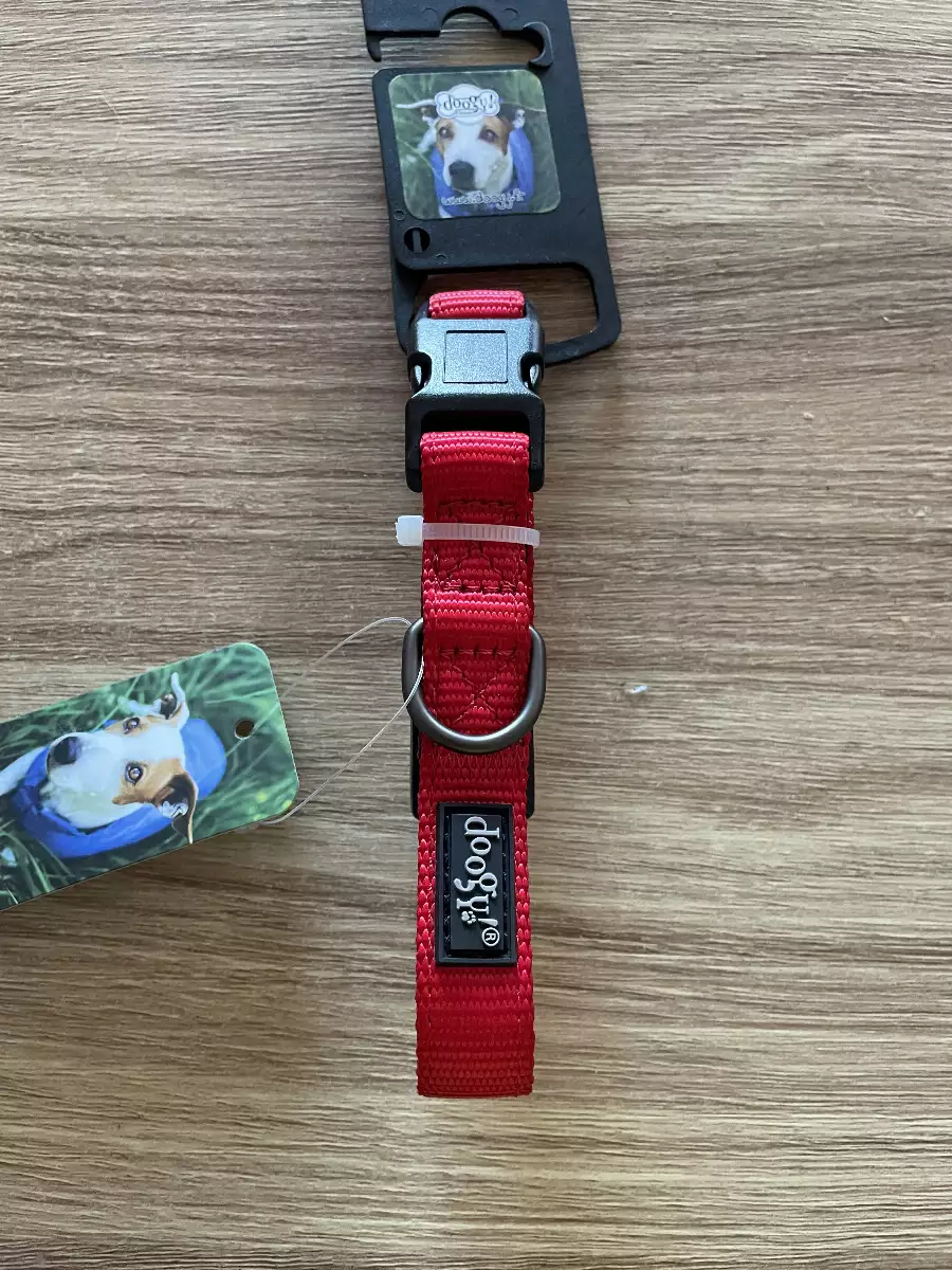 Collier pour chien classique TXS couleur rouge